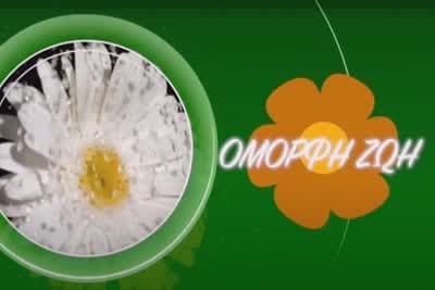 Όμορφη Ζωή
