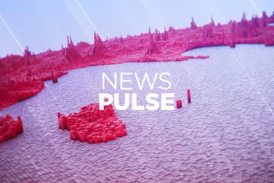 News Pulse