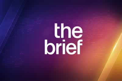 The Brief