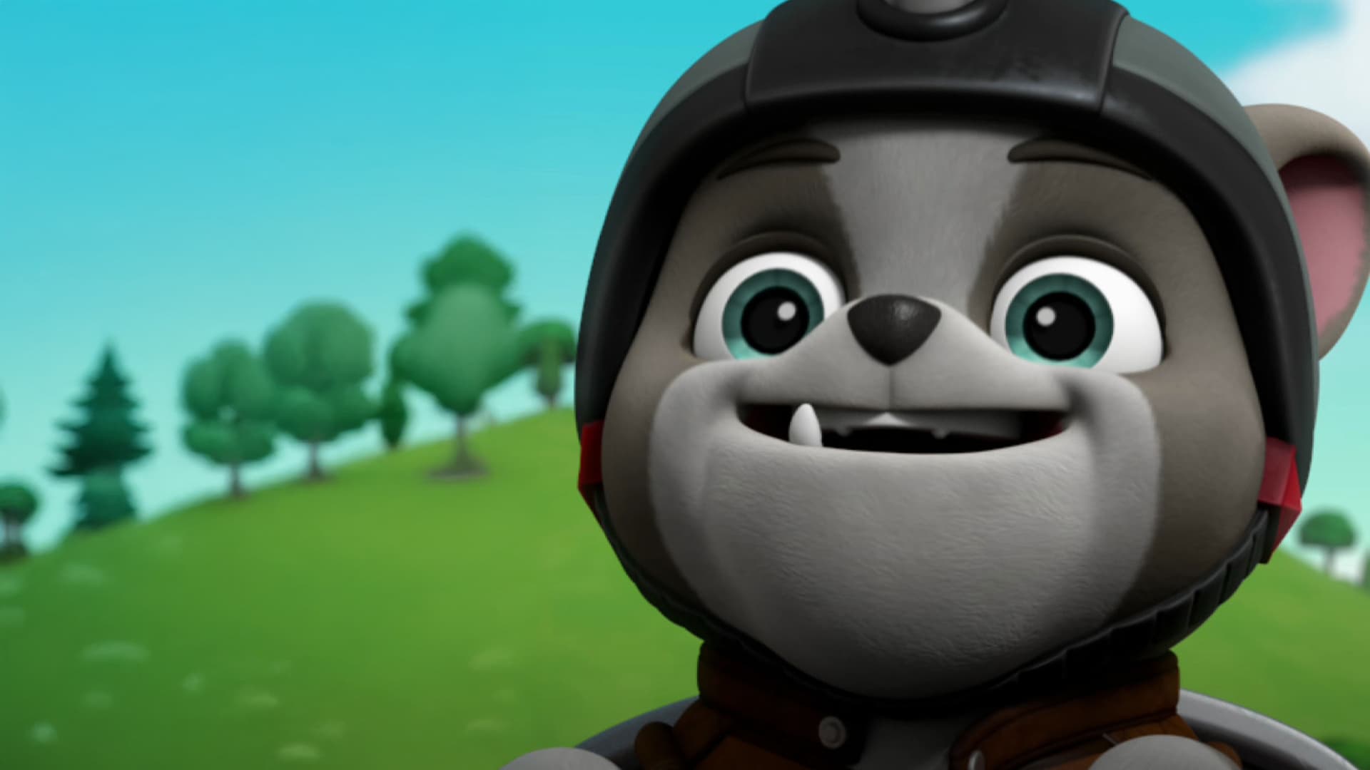 Paw Patrol