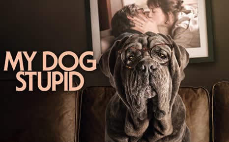 My Dog Stupid