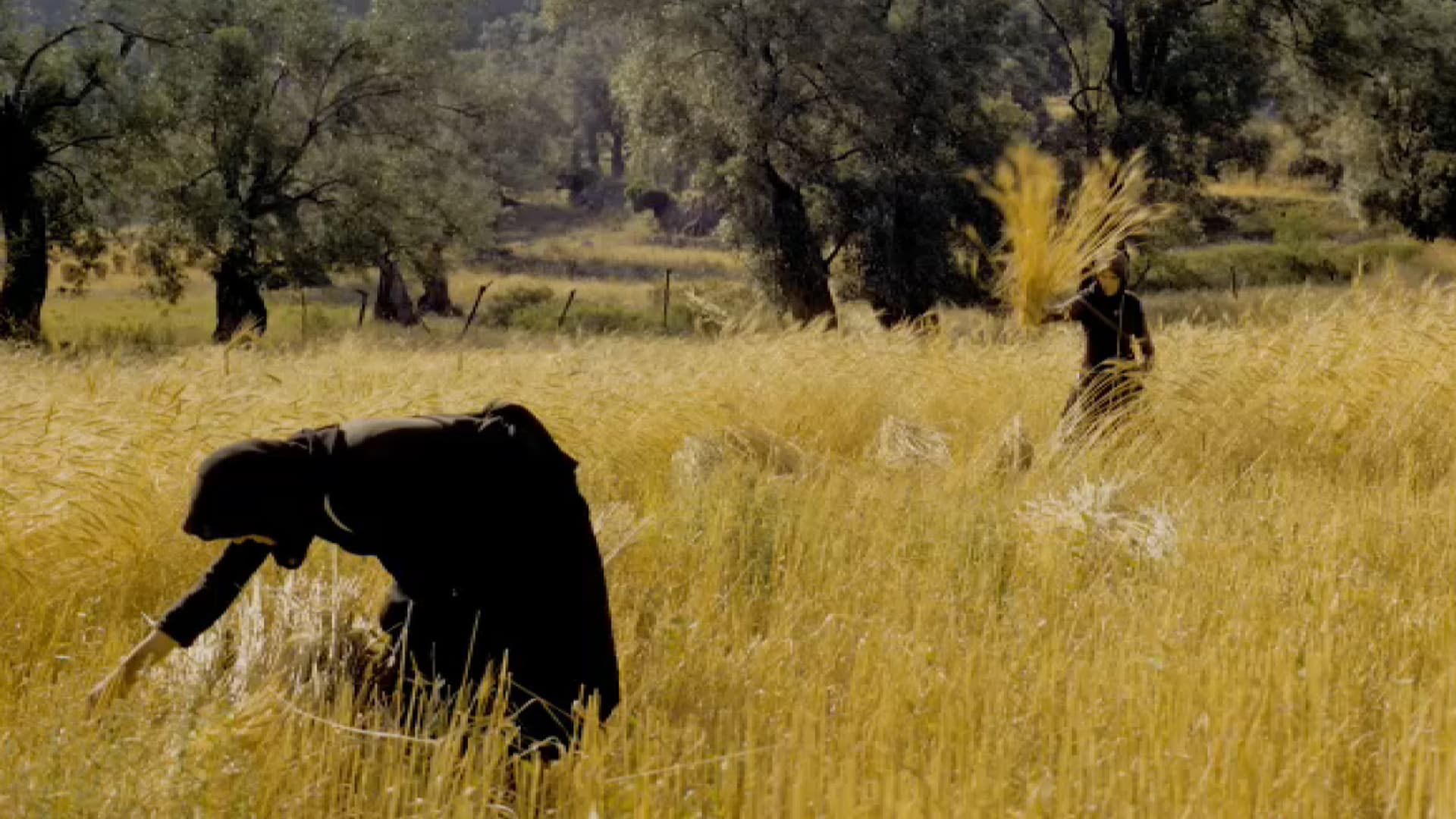 Στα ίχνη των στιγμών
