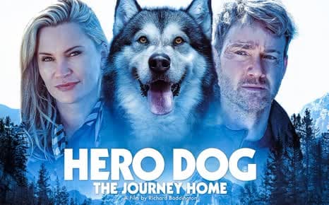 Hero Dog: The Journey Home